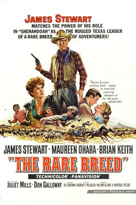 The Rare Breed poster