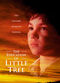 Film The Education of Little Tree
