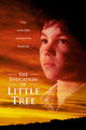 Film - The Education of Little Tree