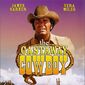 Poster 2 The Castaway Cowboy