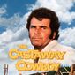 Poster 1 The Castaway Cowboy