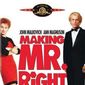 Poster 3 Making Mr. Right