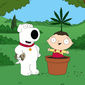 Foto 31 Family Guy