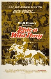 Poster Ride a Wild Pony