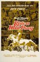 Film - Ride a Wild Pony