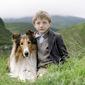 Foto 1 Lassie