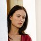 Foto 7 Olivia Wilde în The Death and Life of Bobby Z
