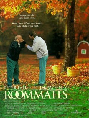 Roommates poster