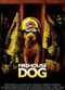 Film Firehouse Dog