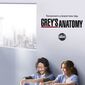 Poster 11 Grey's Anatomy