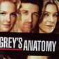 Poster 9 Grey's Anatomy