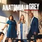 Poster 2 Grey's Anatomy
