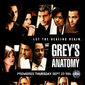 Poster 14 Grey's Anatomy