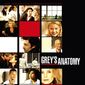 Poster 13 Grey's Anatomy