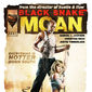 Poster 1 Black Snake Moan