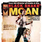 Poster 6 Black Snake Moan