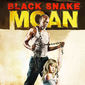 Poster 2 Black Snake Moan