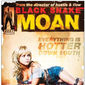 Poster 8 Black Snake Moan