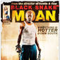 Poster 7 Black Snake Moan
