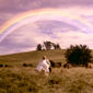 The Rainbow/Curcubeul pasiunii