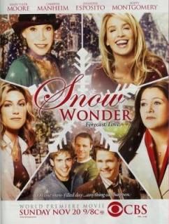 Snow Wonder poster