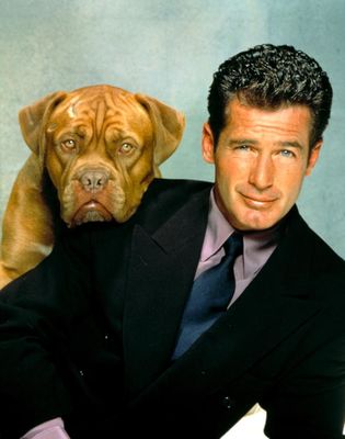 Tequila and Bonetti
