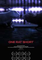 One rat short