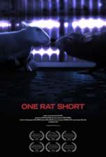 Poster One rat short