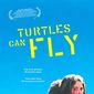 Poster 1 Turtles Can Fly