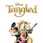 Poster 14 Tangled