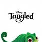 Poster 8 Tangled