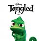 Poster 3 Tangled