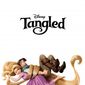 Poster 11 Tangled