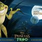 Poster 2 The Princess and the Frog