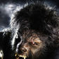 Poster 21 The Wolfman