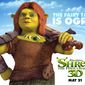 Poster 23 Shrek Forever After