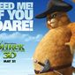 Poster 21 Shrek Forever After