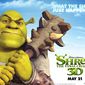 Poster 25 Shrek Forever After