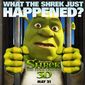 Poster 19 Shrek Forever After