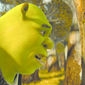Foto 44 Shrek Forever After
