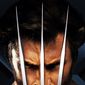 Poster 5 X-Men Origins: Wolverine