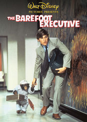 Poster The Barefoot Executive