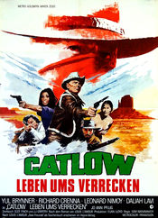 Poster Catlow