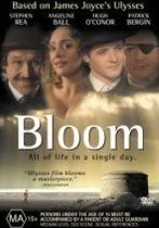 Domnul Bloom