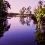 Imagine din galeria filmului Ten Canoes