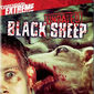 Poster 4 Black Sheep