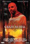 Crazy as Hell poster