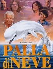 Palla di neve poster