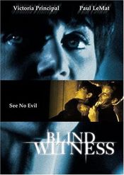 Poster Blind Witness
