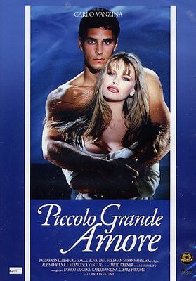 Piccolo grande amore poster